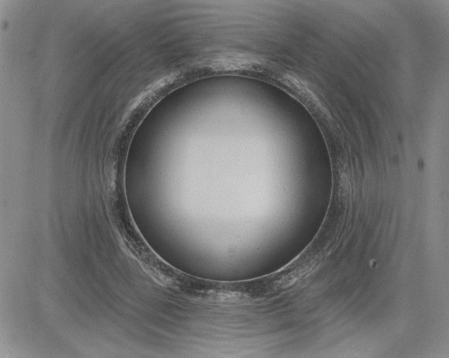 X0000081280539200701251630