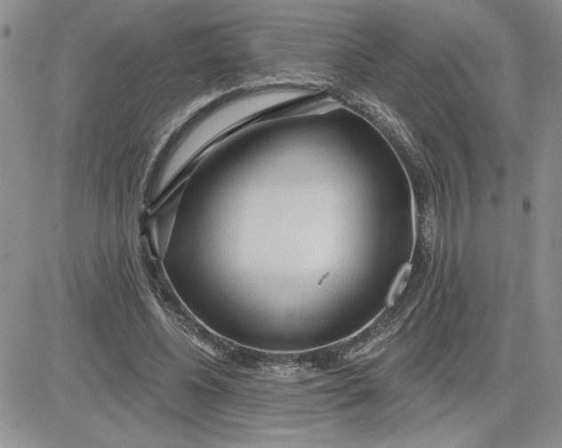 X0000081280540200701251630