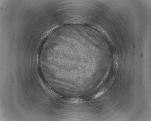 X0000081280542200701251630