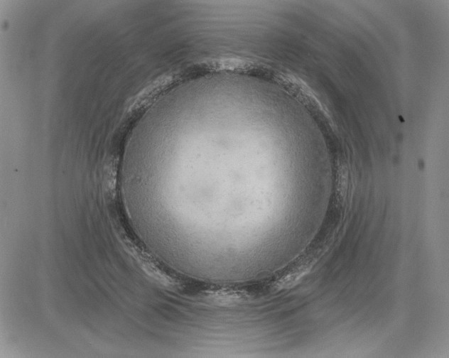 X0000081280545200701251630