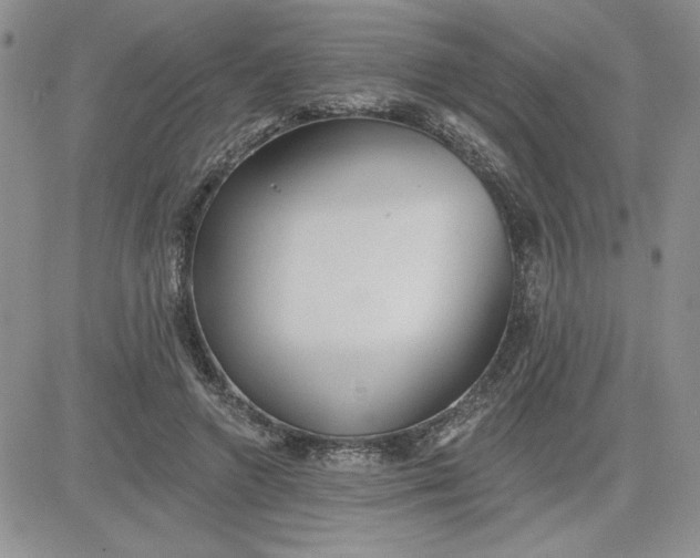 X0000081280546200701251630