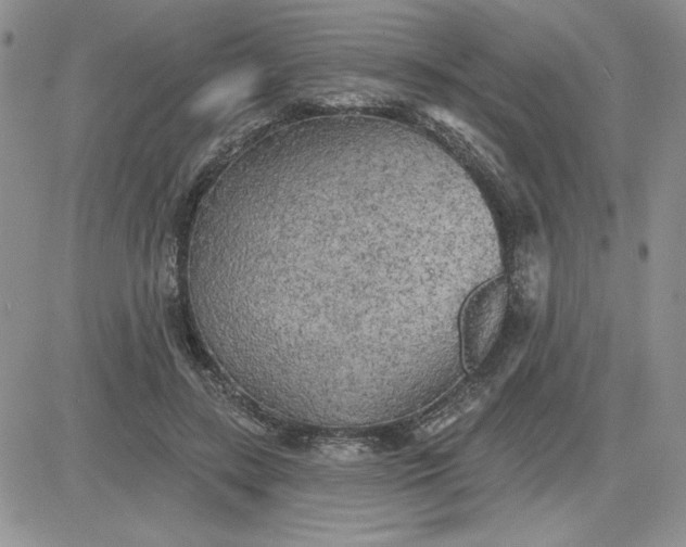 X0000081280547200701251630