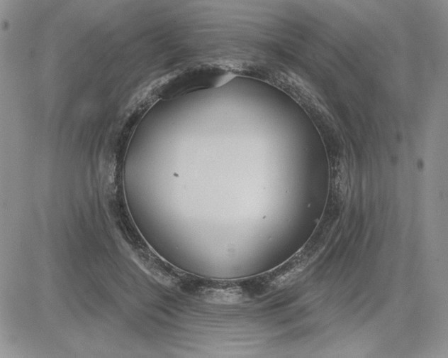 X0000081280548200701251630