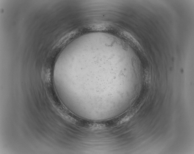 X0000081280549200701251630