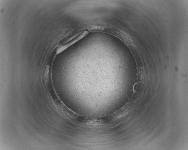 X0000081280550200701251630