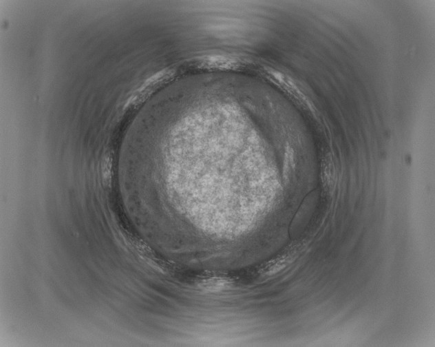 X0000081280551200701251630