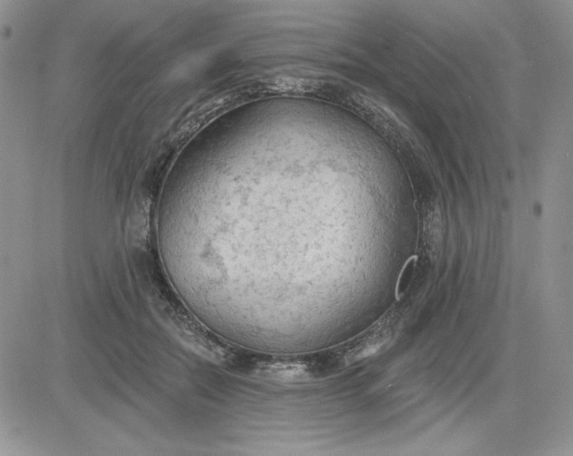 X0000081280554200701251630