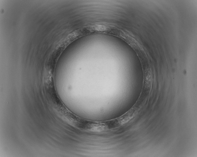 X0000081280555200701251630