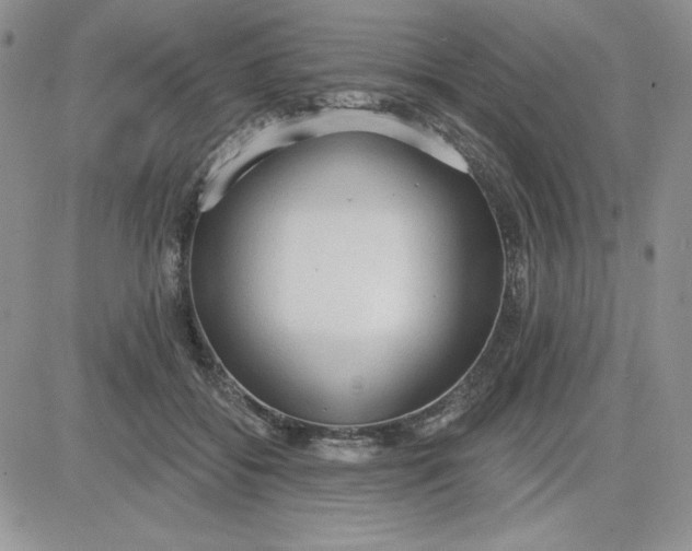 X0000081280556200701251630