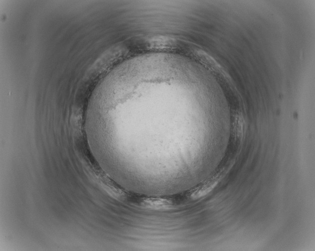 X0000081280557200701251630