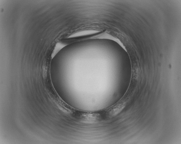 X0000081280558200701251630