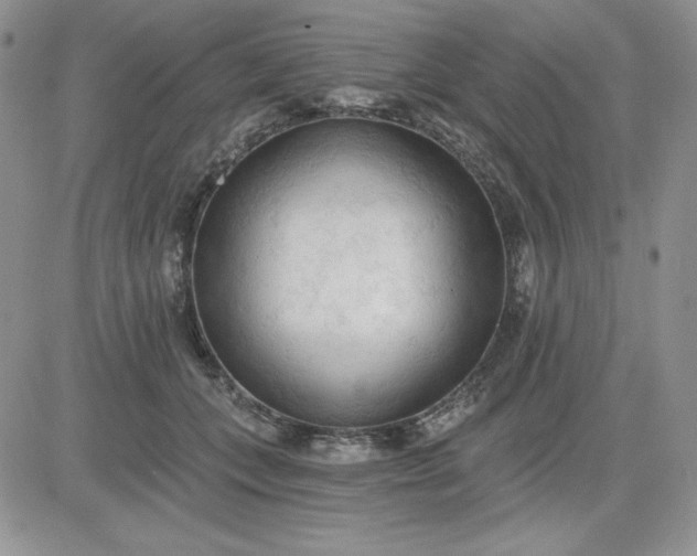 X0000081280559200701251630