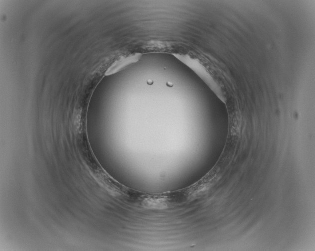 X0000081280560200701251630