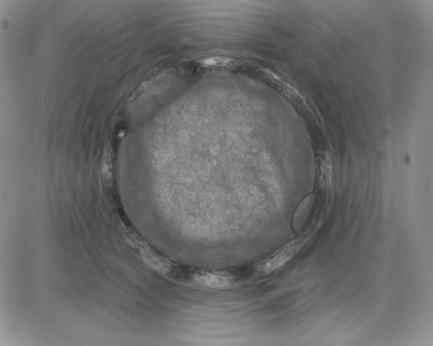 X0000081280561200701251631