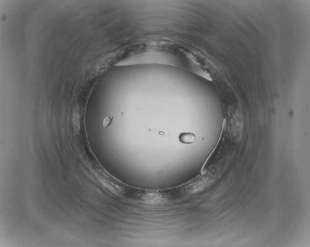 X0000081280562200701251631