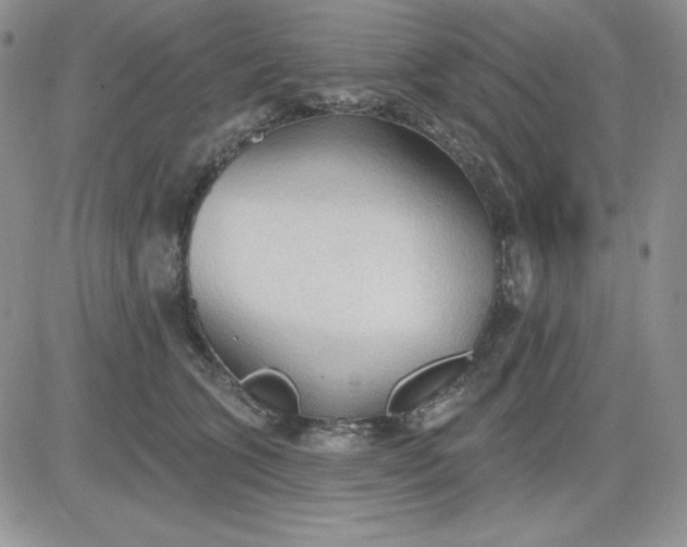 X0000081280563200701251631