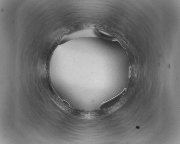 X0000081280564200701251631