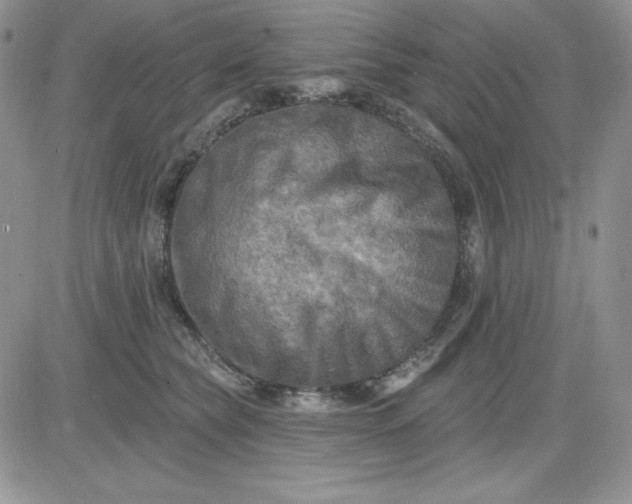 X0000081280565200701251631