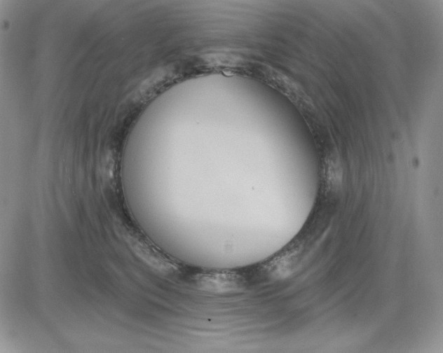 X0000081280567200701251631