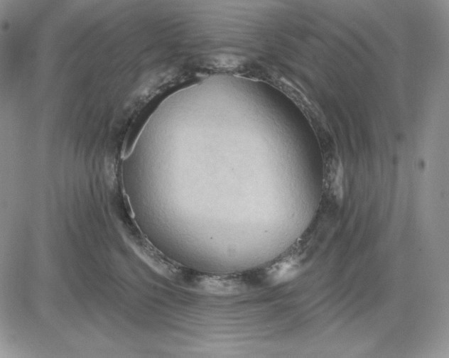 X0000081280568200701251631