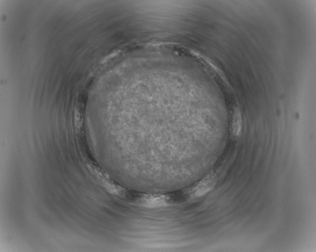 X0000081280569200701251631