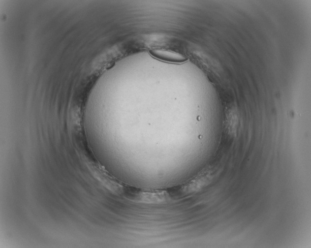 X0000081280571200701251631