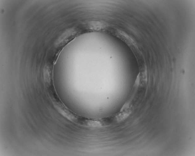 X0000081280572200701251631