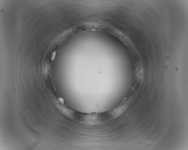 X0000081280574200701251631