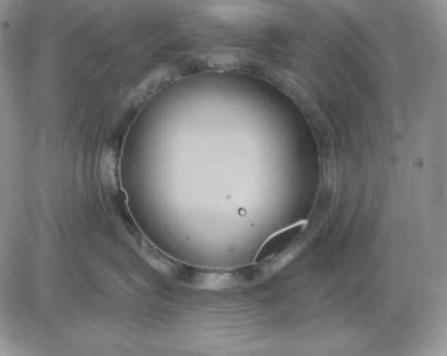 X0000081280575200701251631