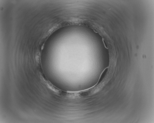 X0000081280576200701251631