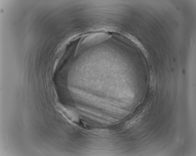 X0000081280577200701251630