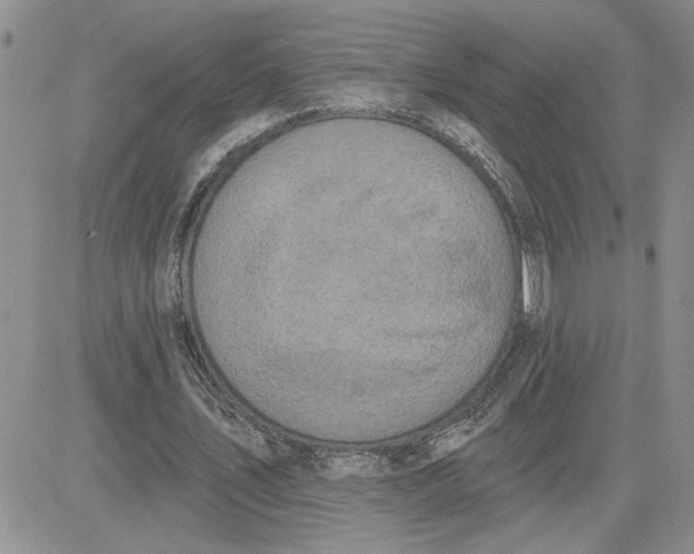 X0000081280579200701251630