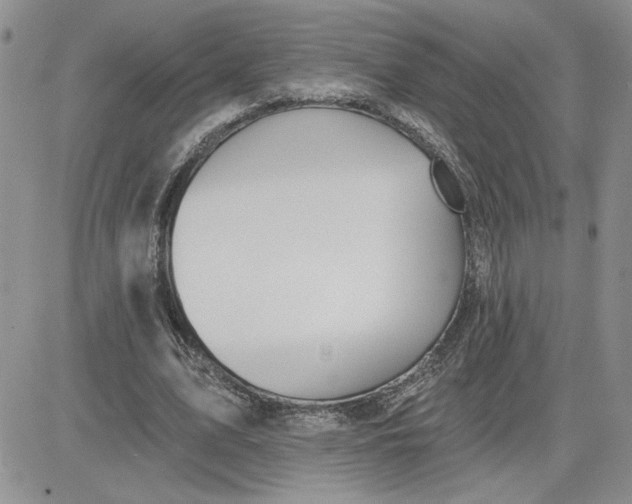 X0000081280583200701251630