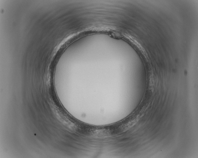 X0000081280584200701251630