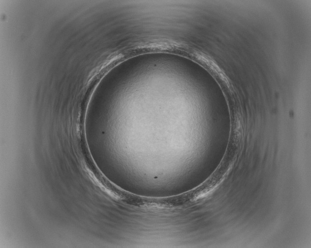 X0000081280585200701251630