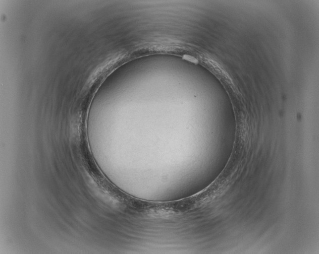 X0000081280586200701251630