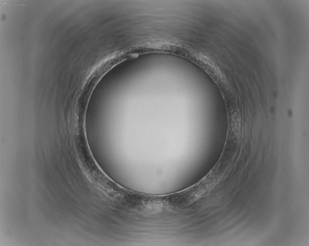 X0000081280587200701251630