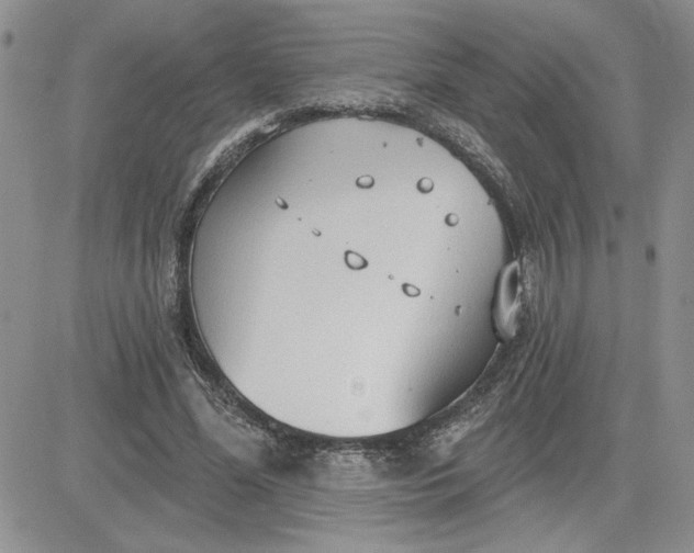 X0000081280588200701251630