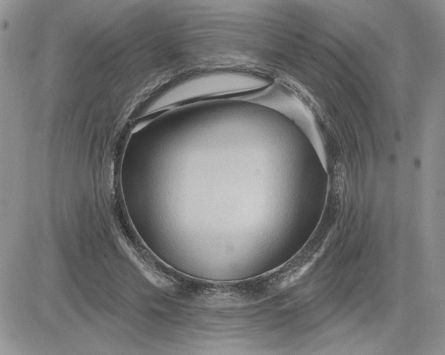 X0000081280589200701251630