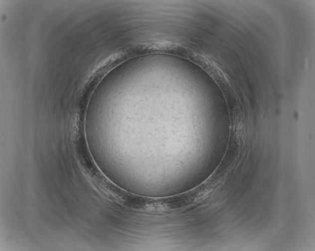 X0000081280591200701251630