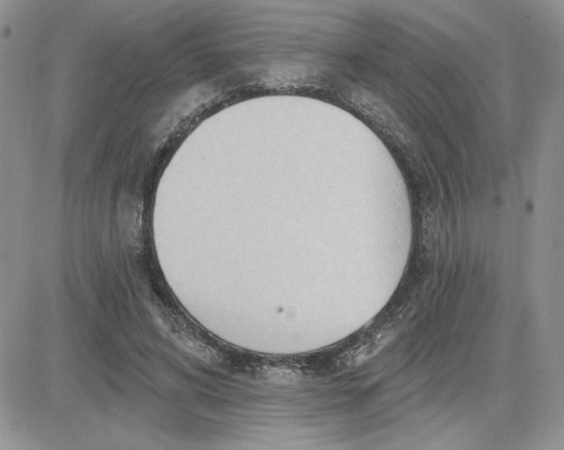 X0000081280592200701251630