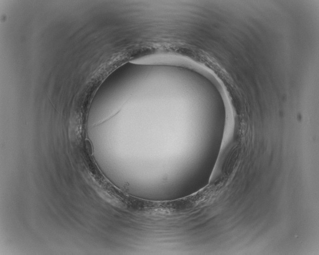 X0000081280593200701251630