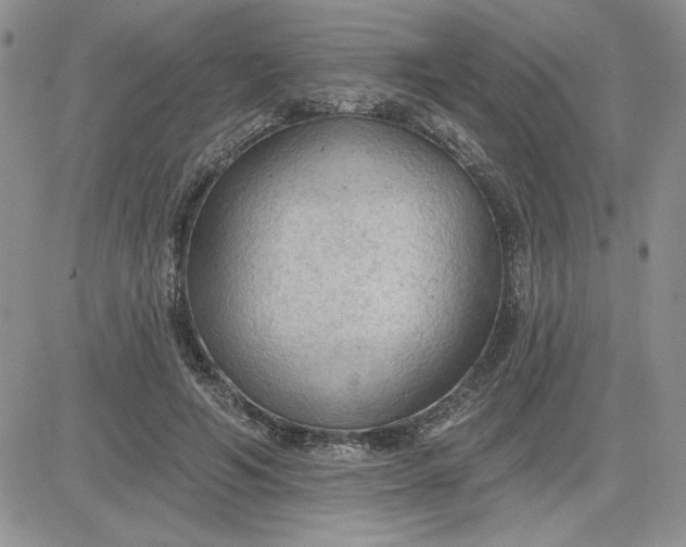 X0000081280594200701251630