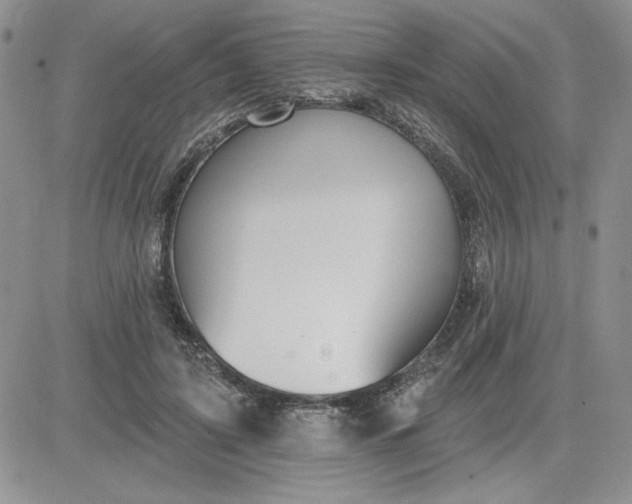 X0000081280595200701251630