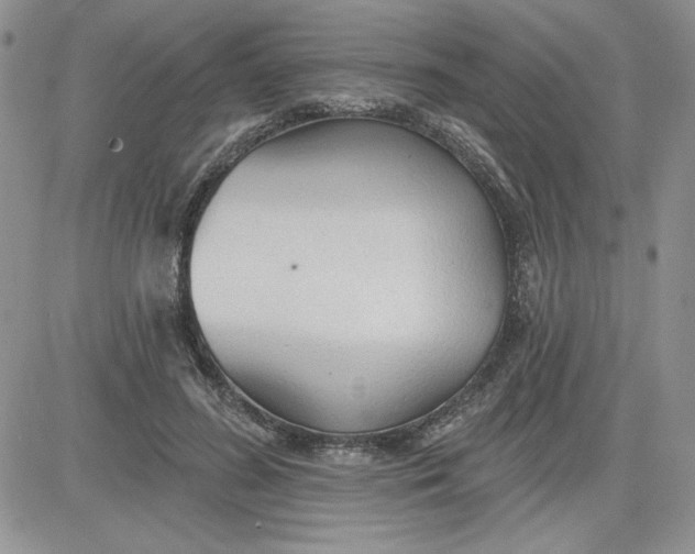 X0000081280596200701251630