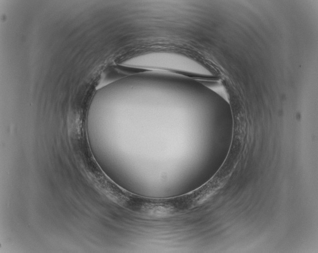 X0000081280597200701251630