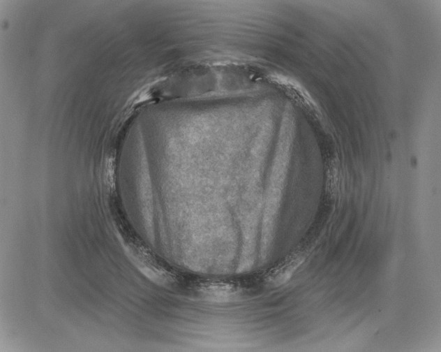 X0000081280598200701251630