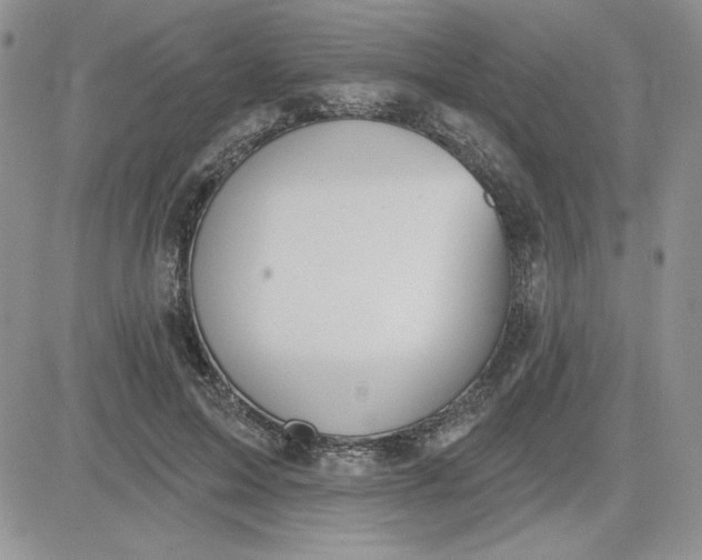 X0000081280599200701251630