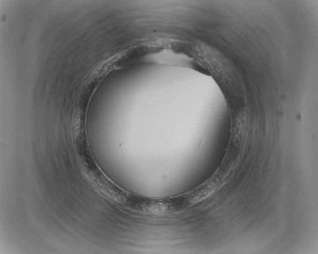 X0000081280600200701251630