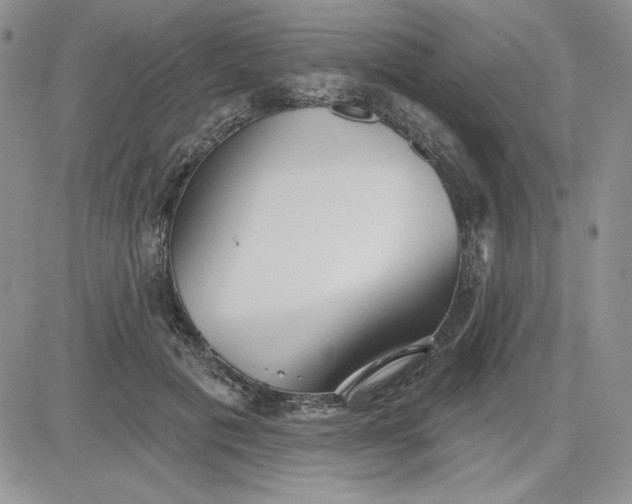 X0000081280601200701251630